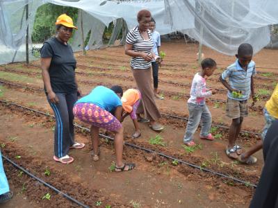 Children and moms transplanting the Vegetables garden.